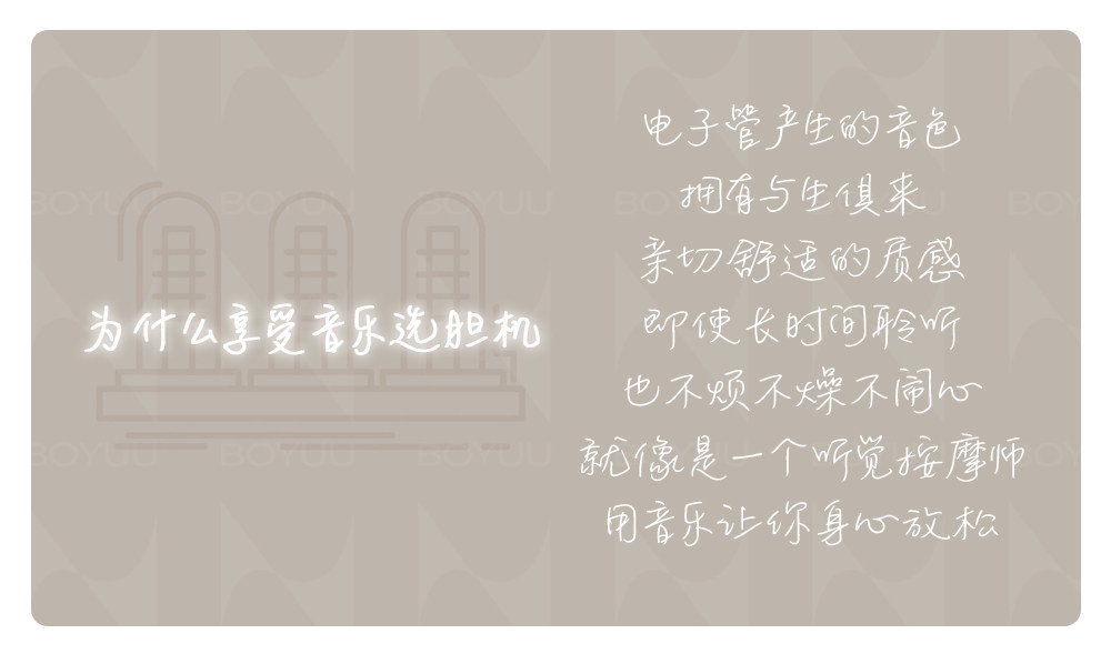 REISONG Boyuu A20MKV KT88 tube Amplifier HIFI Single-ended tube Amplifier 2025 Version