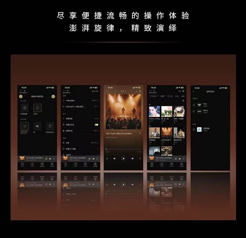 SHANLING ONIX Zenith XMT20 Streaming Digital Turntable Professional Lossless Hi-Fi Digital Music Player