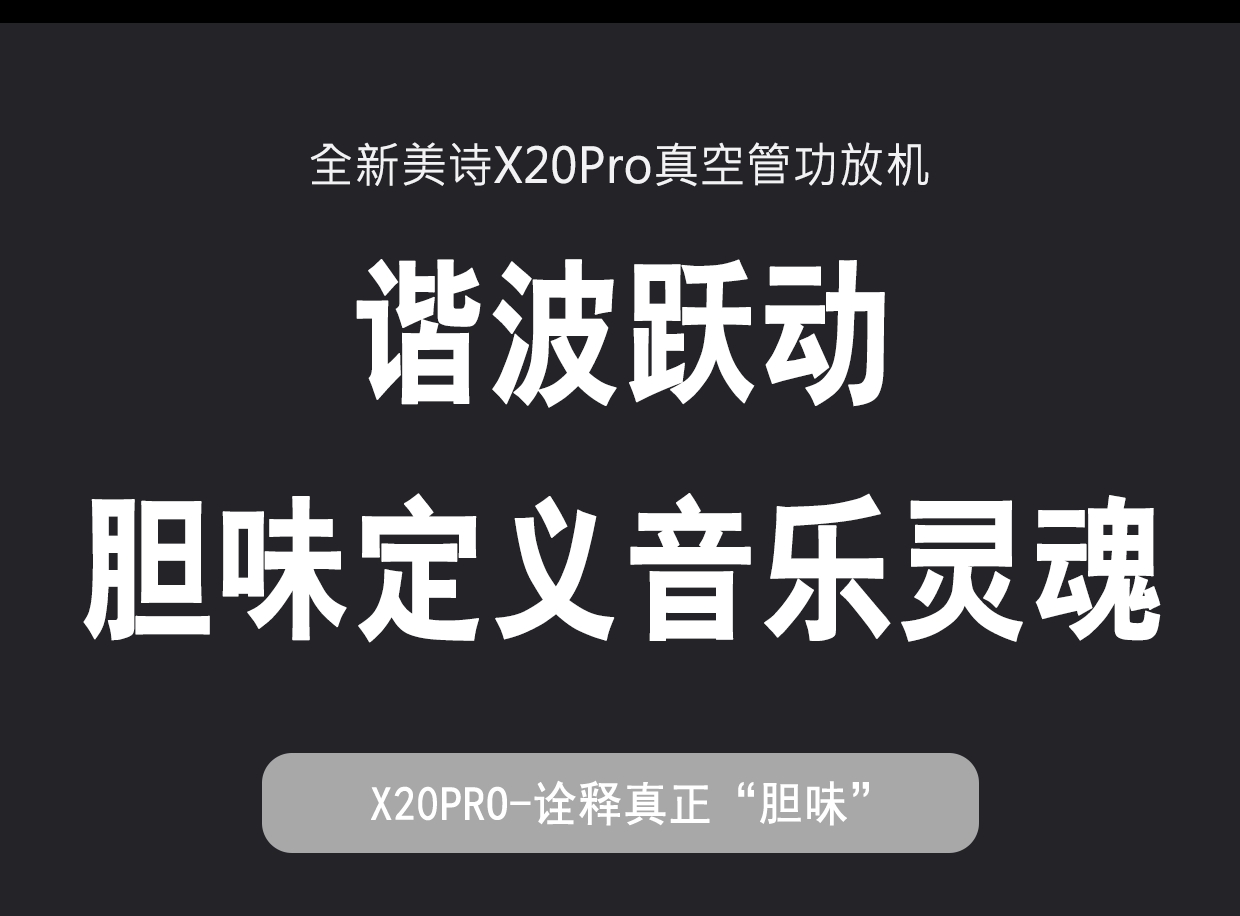 MUZISHARE X20Pro 2A3 Push 211 High-end tube Amplifier Class A Audiophile tube Amplifier