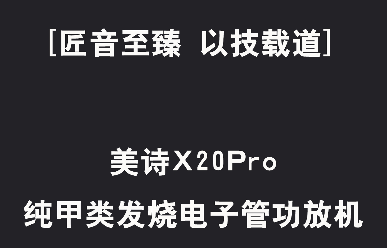 MUZISHARE X20Pro 2A3 Push 211 High-end tube Amplifier Class A Audiophile tube Amplifier