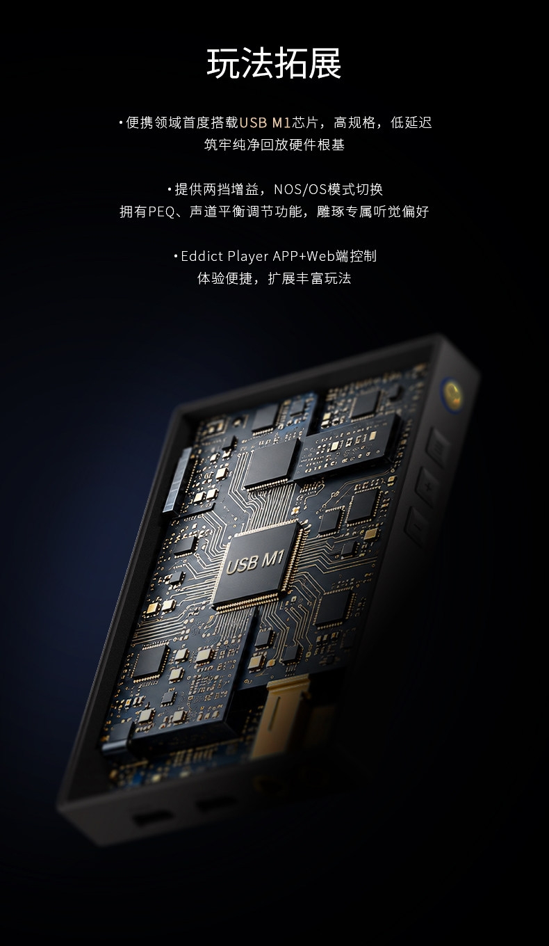 YBA VIBE P1 Portable Headphone Amplifier R2R Architecture and Decoder YBA VIBE P1 Portable Headphone Amplifier R2R Architecture and Decoder