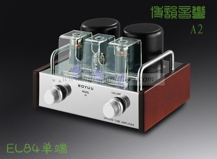 REISONG Boyuu A2 Mini Single-ended 6P14/EL84 Vacuum Tube Amplifier