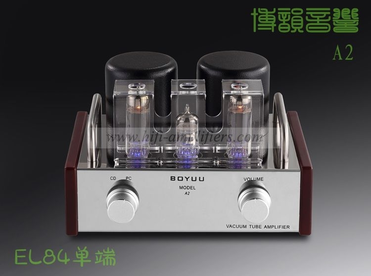 REISONG Boyuu A2 Mini Single-ended 6P14/EL84 Vacuum Tube Amplifier