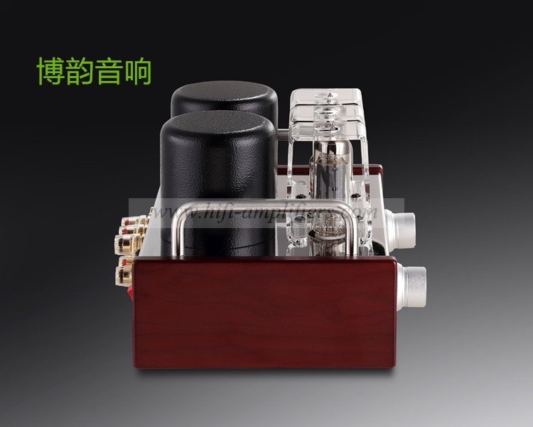 REISONG Boyuu A2 Mini Single-ended 6P14/EL84 Vacuum Tube Amplifier