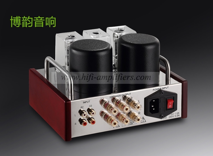 REISONG Boyuu A2 Mini Single-ended 6P14/EL84 Vacuum Tube Amplifier