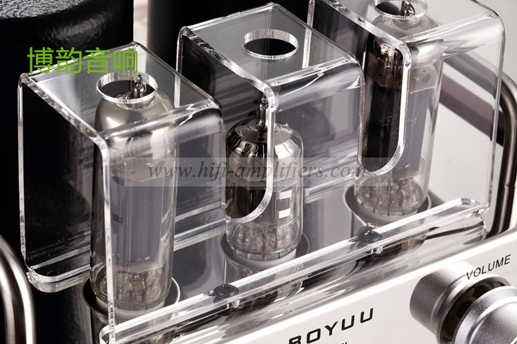 REISONG Boyuu A2 Mini Single-ended 6P14/EL84 Vacuum Tube Amplifier