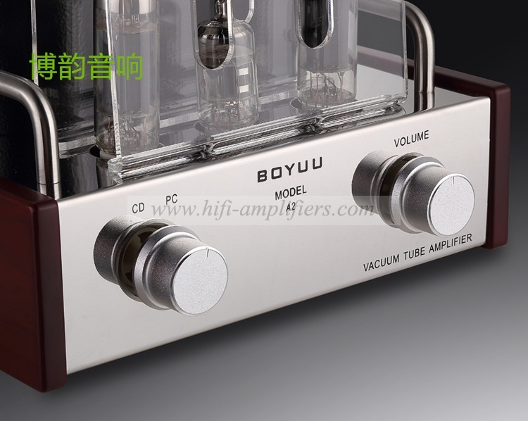 REISONG Boyuu A2 Mini Single-ended 6P14/EL84 Vacuum Tube Amplifier