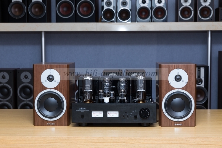 Line Magnetic LM-508IA 300B 805 HIFI Integrated Vacuum Tube Amplifier Class A Single-ended