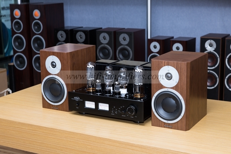 Line Magnetic LM-508IA 300B 805 HIFI Integrated Vacuum Tube Amplifier Class A Single-ended