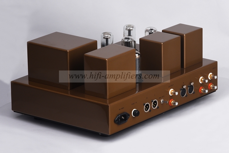 Line Magnetic G-2 tube preamplifier HiFi Antique Valve Preamp With Remote