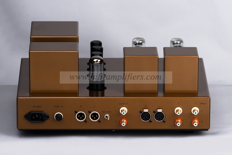Line Magnetic G-2 tube preamplifier HiFi Antique Valve Preamp With Remote
