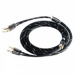 Cayin CS-50 SP Cavo audio Hi Fi dorato Cavo per altoparlante con rivestimento in PVC 2,5 m Paio