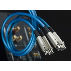 JungSon Beauty XLR par de cables de señal de audio de alta fidelidad balanceados 1M