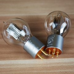 Psvane WE205D Tubes à vide haut de gamme Western Electric Replica Best Matched Pair