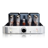 Cayin A-100T MK2 Potenza e amplificatore integrato KT88x8 Vacuum Tube HiFi Audio Amp