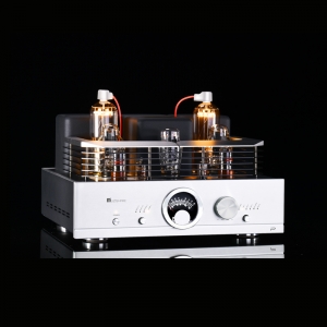 MUZISHARE R100 300B push 845 211 805 Single-ended Class A HiFi tube Amplifier Balance & Phono output Upgraded