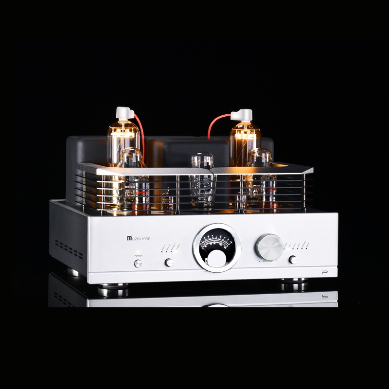 MUZISHARE R100 300B push 845 211 805 Single-ended Class A HiFi tube Amplifier Balance & Phono output Upgraded - Click Image to Close