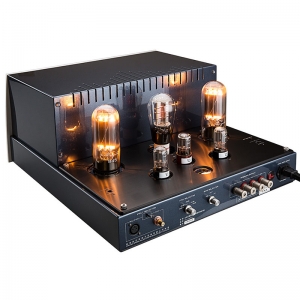 Cayin M-845D Hi-end Top Class Reference Mono Vacuum Tube Amplifier 300B Push 845 Class A Push-pull Power Amplifier (Pair)