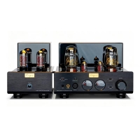 Cayin HA-6A MK2 Desktop Decoder Amp ламповый сбалансированный усилитель мощности для наушников класса A
