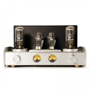 REISONG Boyuu A60 845 Amplificateur à tube à une extrémité Amplificateur intégré HIFI tout neuf