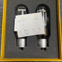 LINLAI E-805A Tube à vide haut de gamme valve électronique remplacer Psvane 805A paire assortie