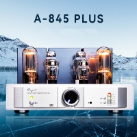 Cayin A-845 PLUS Amplificateur de puissance de classe A à une extrémité et AMP intégré 300B et 845 Tube Version 2021