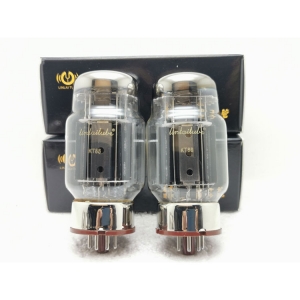 LINLAI KT88 HiFi Series Tubes à vide Valve électronique paire assortie