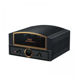 Shengya A30 KT88 HIFI Amplificatore integrato tubo Amplificatore Stereo 200W*2