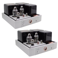Línea magnética LM-603PA KT170 tubo de vacío Mono amplificador de potencia un par de Audio HIFI 130W tubo de vacío ECC81