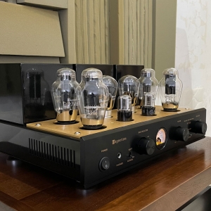 Magnetism M310SE 300B Class A tube Amplifier Vs Integrated Power Amp