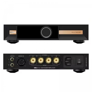 SMSL VMV A1 PRO LATEST Gallium Nitride Power Tubes Amplifer High Quality High Power Pure AMP