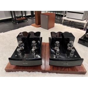 China Audiophile Melody Push-pull 300B tube high-power split pure tube Amplifier Mono Power Amplifier (A Pair)