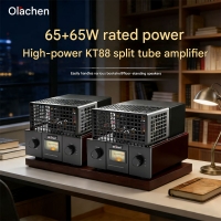 oldchen KT88 Hi-end Push-Pull Audiophile Tube Amplifier Dual-channe 65W*2