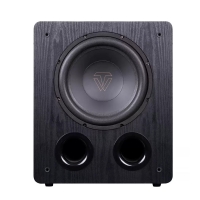 ToneWinner SW-D1000 10 PORTED SUBWOOFER 200W