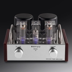 REISONG Boyuu A2 Mini Single-ended 6P14/EL84 Vacuum Tube Amplifier