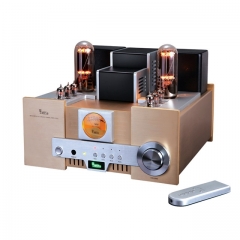 Yaqin MS-650B 845 tube Amplificateur intégré à une extrémité de classe A